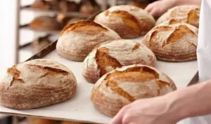Hogazas de masa madre