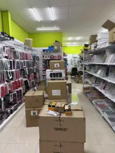 TEMCOSTAR S.L 1