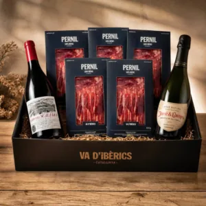 Va d’Ibèrics 2